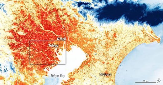 Matcha Prices Surge as Heatwaves Hit Japan’s Tea…