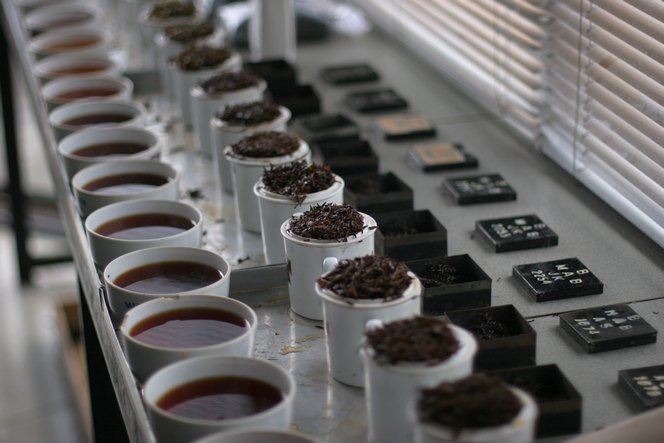 selectionner-the